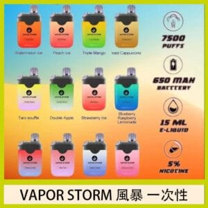 Vapor Storm風暴電子煙7500口（5%）一次性