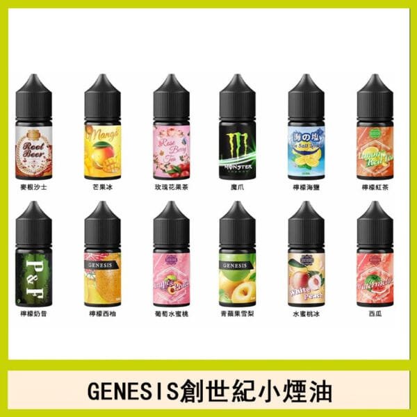 GENESIS創世紀電子煙小煙主機煙油30ml